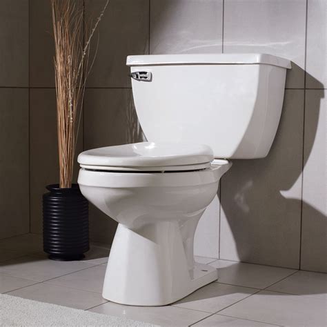 A New Toilet